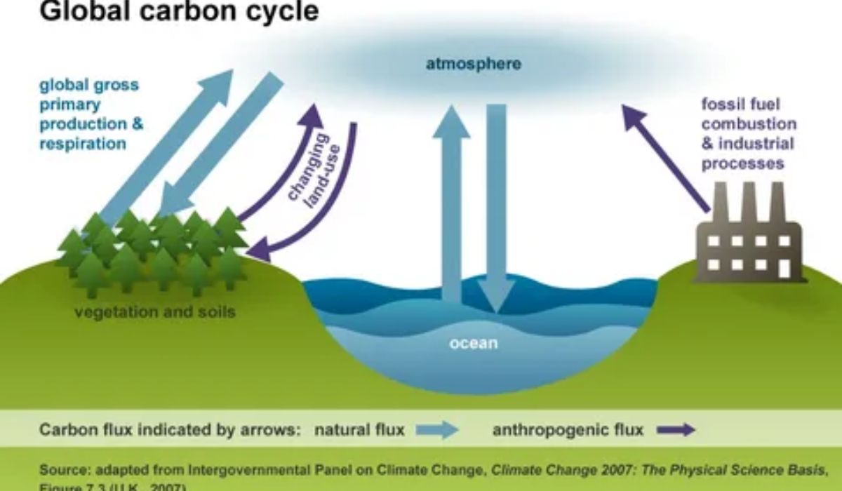 Atmospheric Gases: Nature's Natural Global Exchange