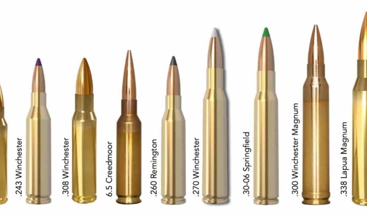 Long-Range Performance of Top .308 Win Bullets