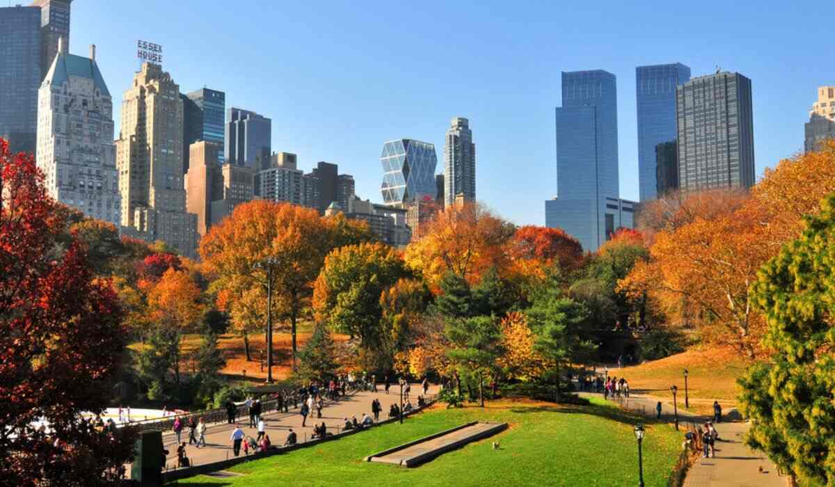 Fall Colours in City Parks