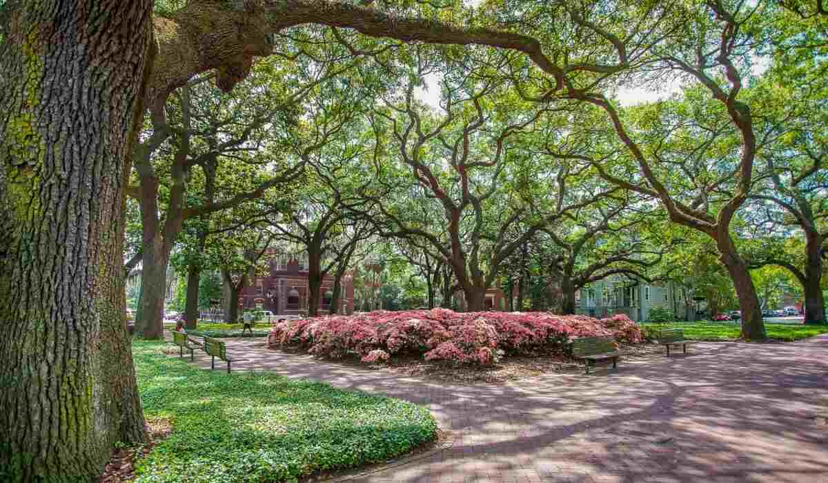 How long is the drive from Charleston to Savannah