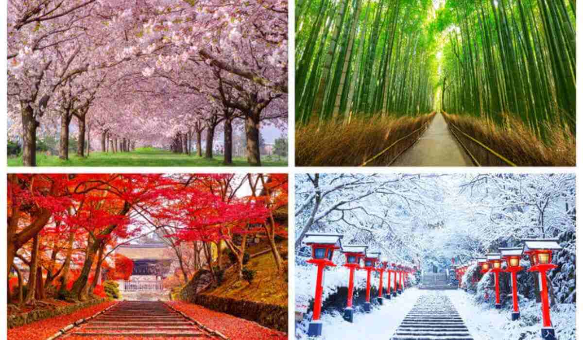 Why avoid specific tourist seasons in Japan?